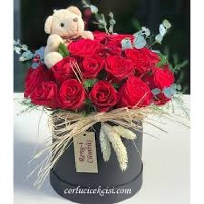 KUTUDA ARAJMAN